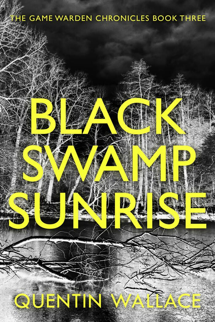 Black Swamp Sunrise