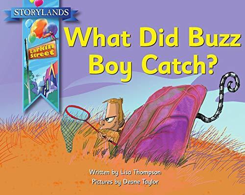 What Did Buzz Boy Catch?: A Storylands, Larkin Street Book