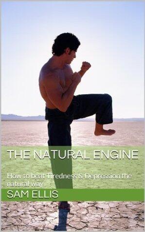 The Happiness Diet - Welcome to Natural Engine Theory!: The best information available from Eastern philosophy & Western science to balance your mind and lose weight happily!