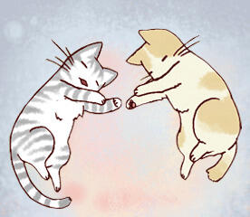 My Kitty and Old Dog