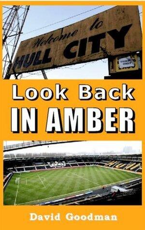 Look Back in Amber
