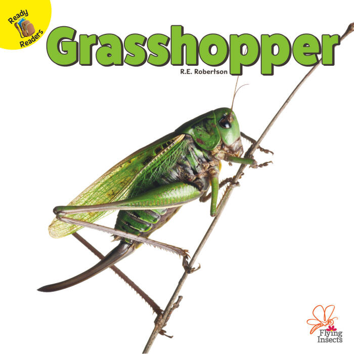 Rourke Educational Media Flying Insects Grasshopper