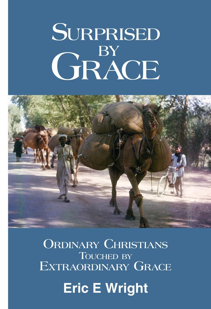 Surprised by Grace: Ordinary Christians Touched By An Extraordinary God