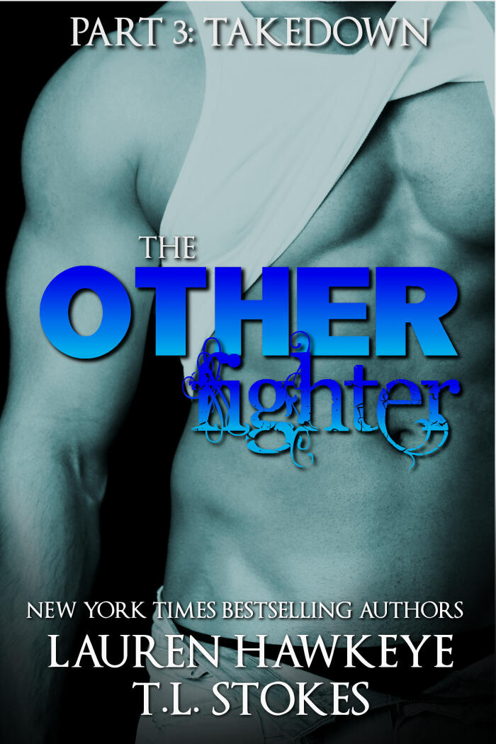 The Other Fighter - Part 3 : Takedown