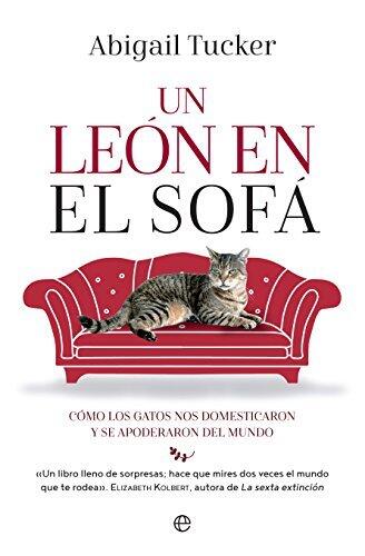 Un León en el Sofá