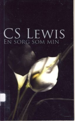 En sorg som min
