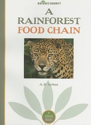 Nature's Bounty: A Rainforest Food Chain