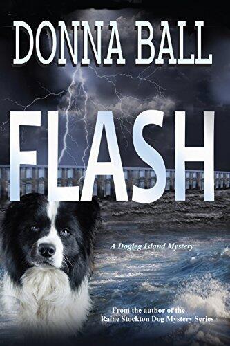 Dogleg Island Mystery