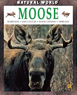 Moose: Habitats, Life Cycles, Food Chains, Threats