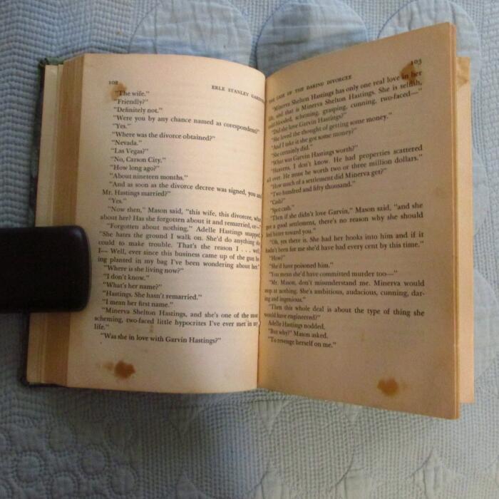 The Case of the Daring Divorcee