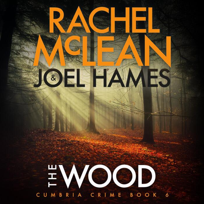 The Wood: Cumbria Crime, Book 6