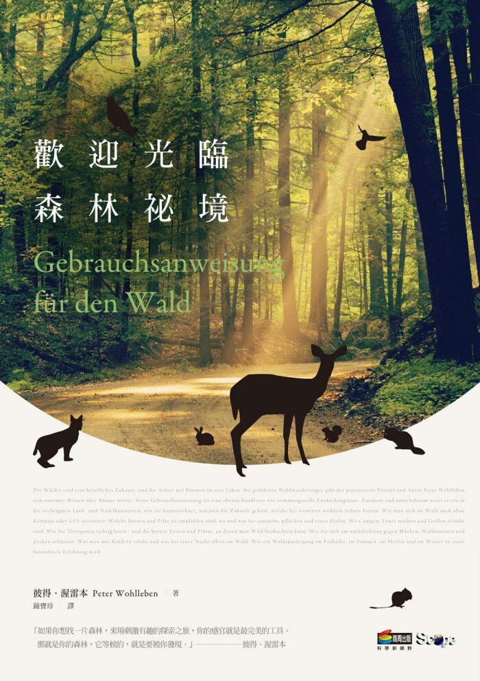 歡迎光臨森林祕境