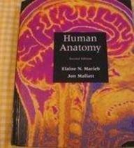 Human Anatomy