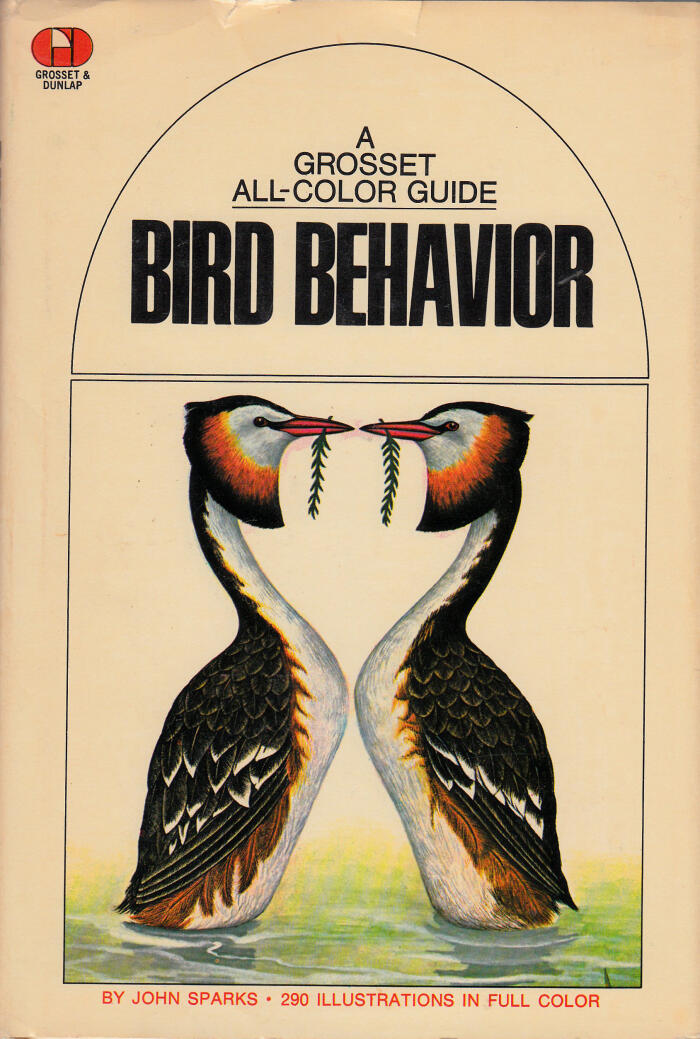 Bird Behaviour