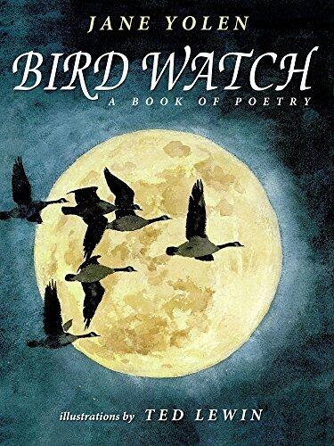 Bird Watch