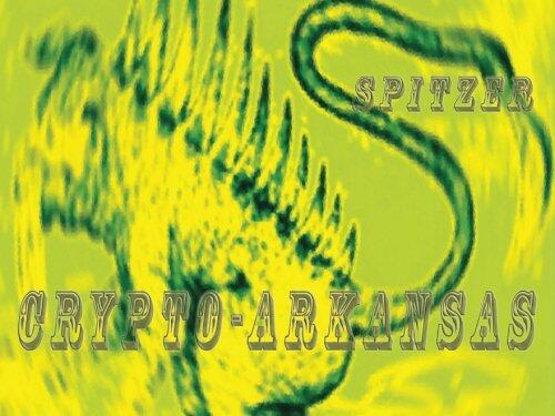 Crypto-Arkansas