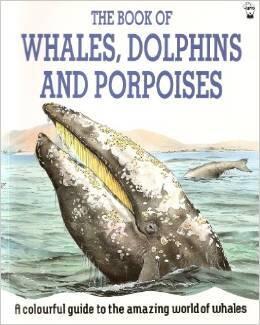 The Book Of Whales, Dolphins, And Porpoises