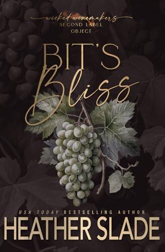 Bit's Bliss: Object