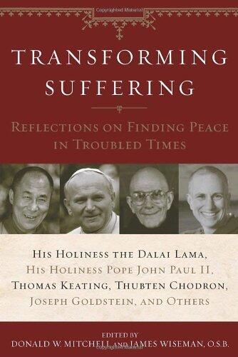 Transforming Suffering: Reflections on Finding Peace in Troubled Times