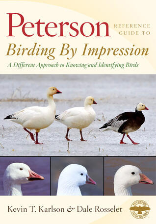 Peterson Reference Guide to Birding