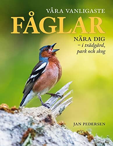 Våra Vanligaste Fåglar Nära Dig: I Trädgård, Park Och Skog