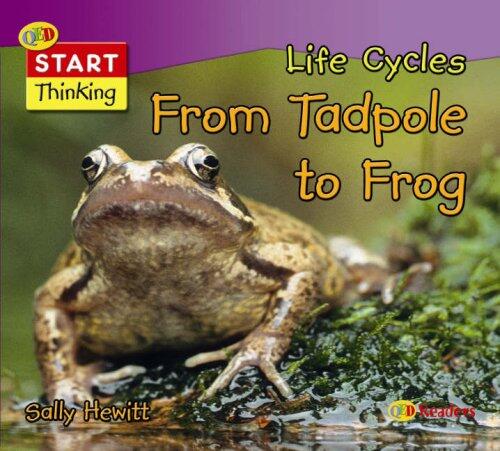 From Tadpole to Frog