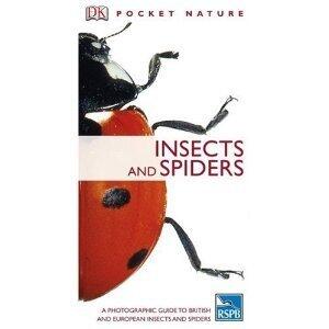 Insects and Spiders
