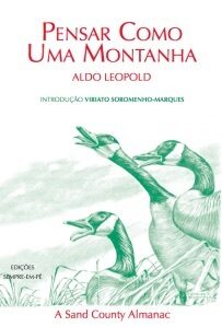 Pensar como uma montanha