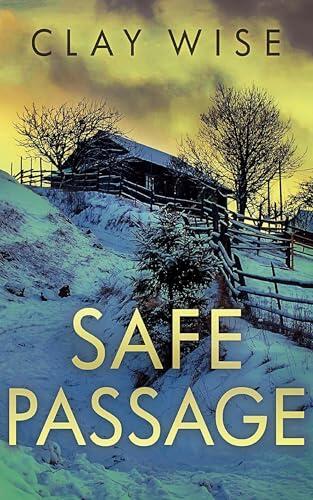 Safe Passage (Postapokalyptischer EMP-Überlebens-Thriller 1)