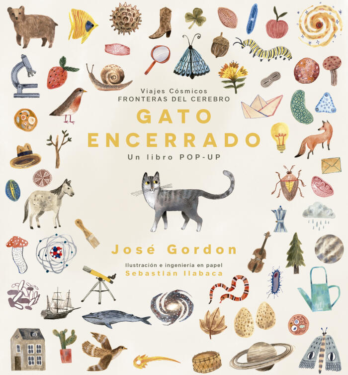 Gato Encerrado