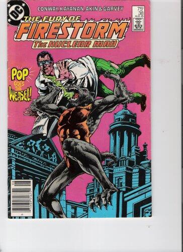 The Fury of Firestorm #38