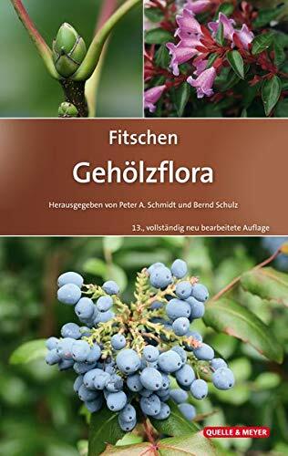 Fitschen - Gehölzflora: Ein Buch zum Bestimmen der in Mitteleuropa wild wachsenden und angepflanzten Bäume und Sträucher. Mit Knospen- und Früchteschlüssel