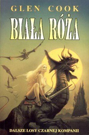 Biała róża