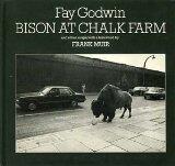 Bison at Chalk Farm and other snaps