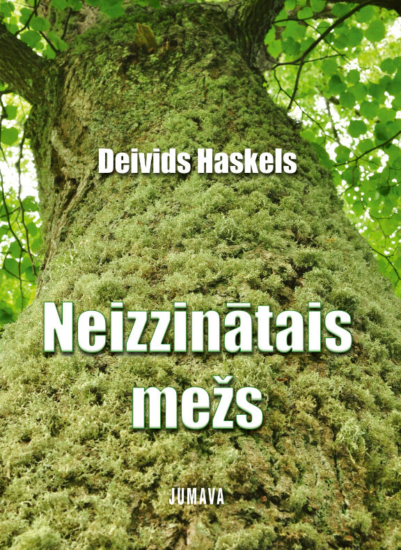 Neizzinātais mežs