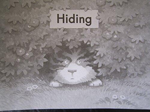 Hiding