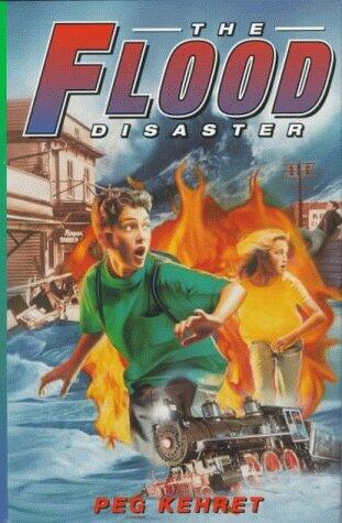 The FLOOD DISASTER