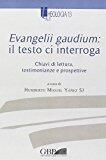 Evangelii Gaudium Il testo ci interroga: Chiavi di lettura, testimonianze e prospettive