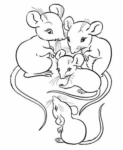 THE MILL CREEK MICE FAMILY