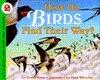 How Do Birds Find Their Way?
