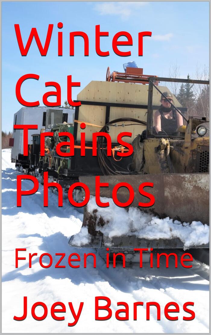 Winter Cat Trains Photos: Frozen in Time
