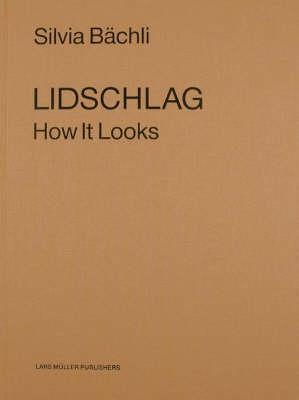 Lidschlag: How It Looks