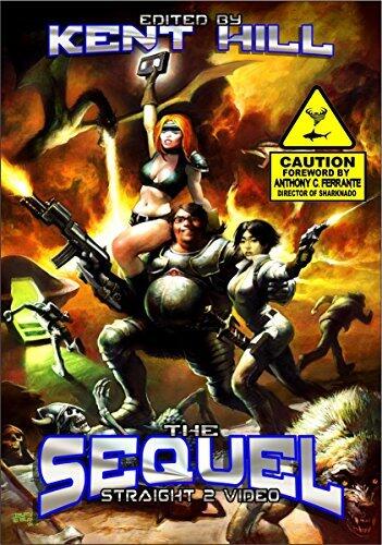 The Sequel: Straight 2 Video