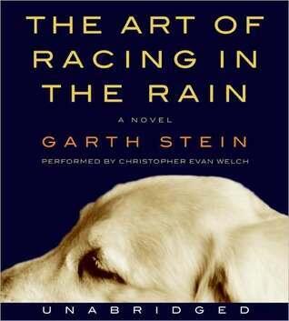 The Art of Racing in the Rain