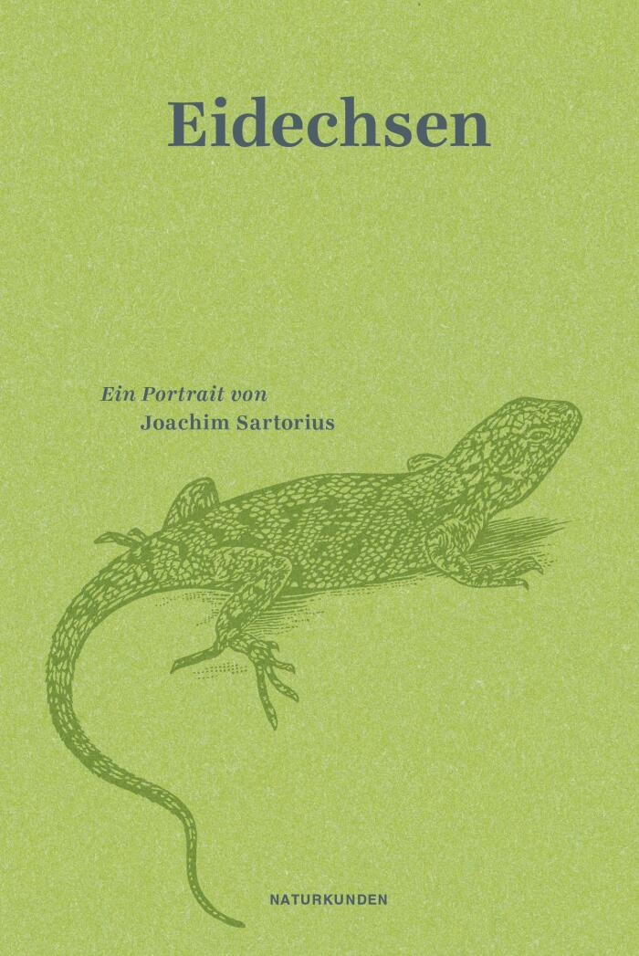 Eidechsen