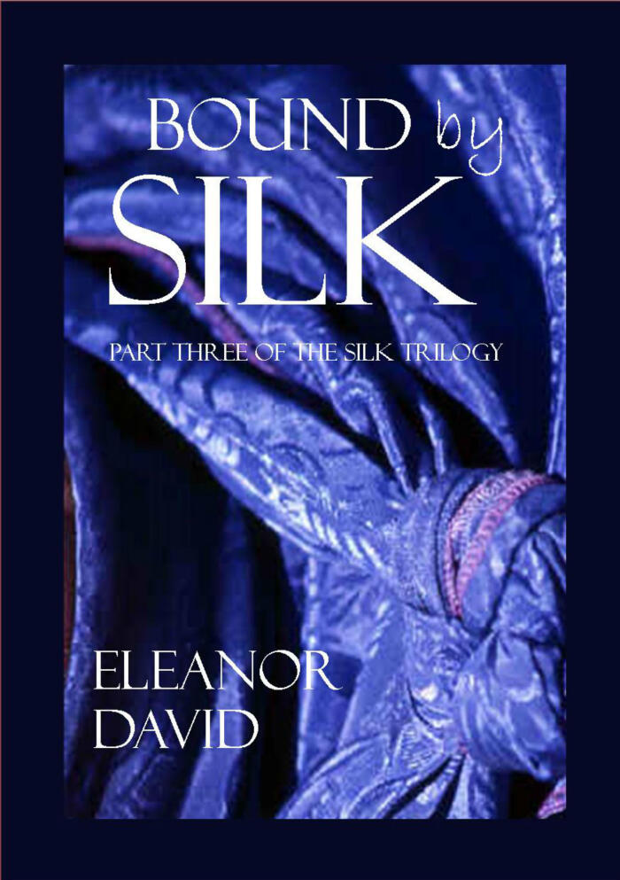 Bound by Silk