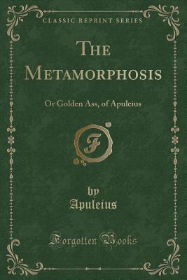 The Metamorphosis