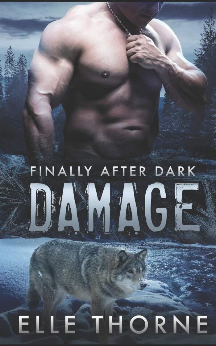 Damage: Finally After Dark