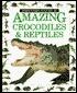 Amazing Crocodiles and Reptiles