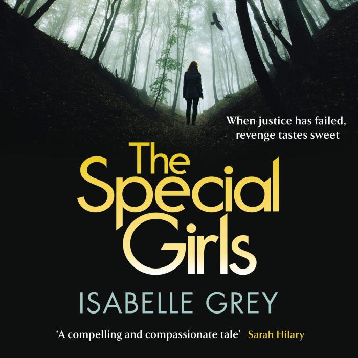 The Special Girls: DI Grace Fisher 3